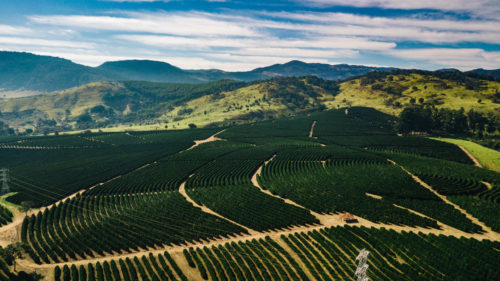 Fazenda Aliança Brasilien landscapes 4