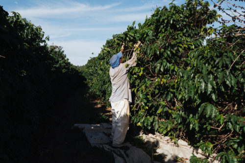 Fazenda Matão Brasilien People 3