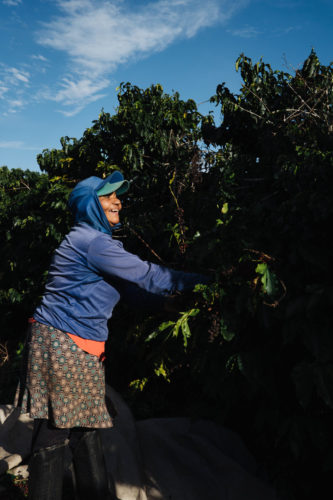 Fazenda Matão Brasilien People 2