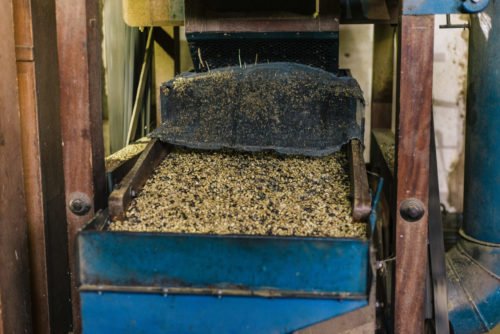 Fazenda Matão Brasilien Processing 1