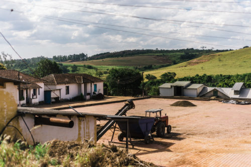 Fazenda Matão Brasilien Processing 3