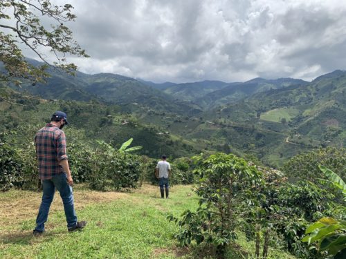 Garzon Kaffee Kolumbien inspecting the fields